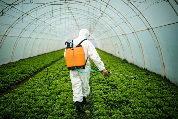 Best Pest Control Near Me  in Battle Ground, WA