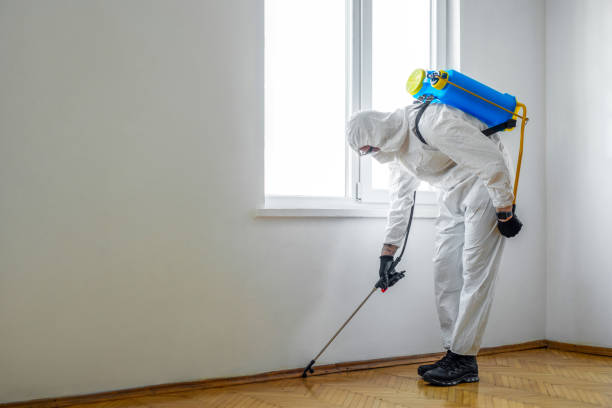 Best Best Pest Control Companies  in Battle Ground, WA