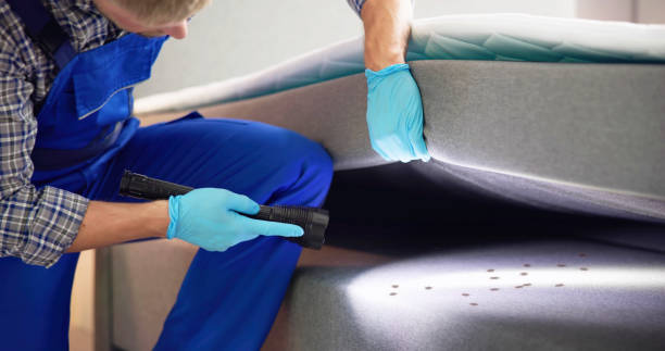 Best Pest Removal Services  in Battle Ground, WA