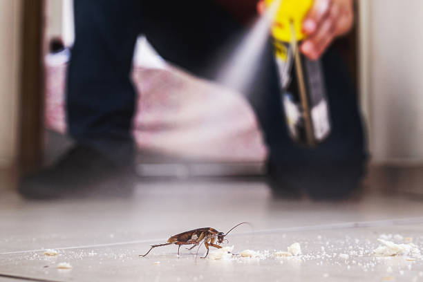 Best Pest Prevention Services  in Battle Ground, WA