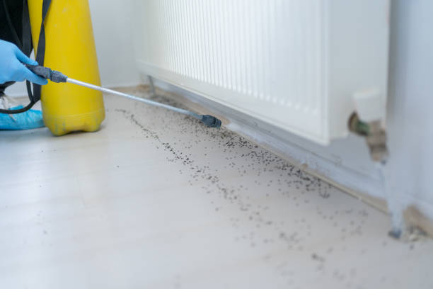 Best Residential Pest Control  in Battle Ground, WA
